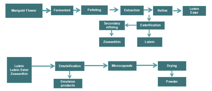 Manufacturing Process Manufacturing Process