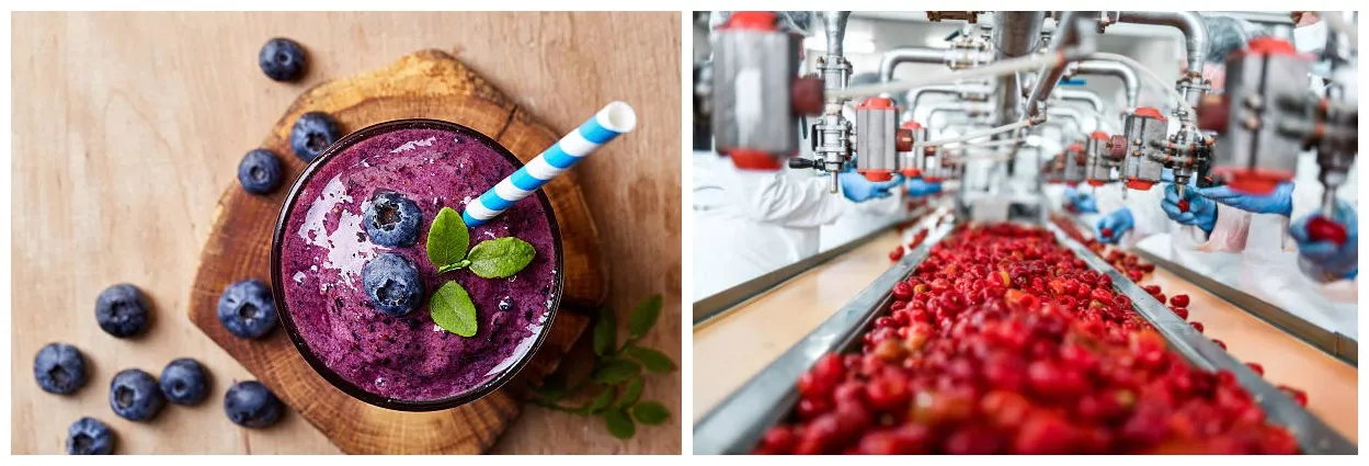 fermented berry mix powder's application fermented berry mix powder's application