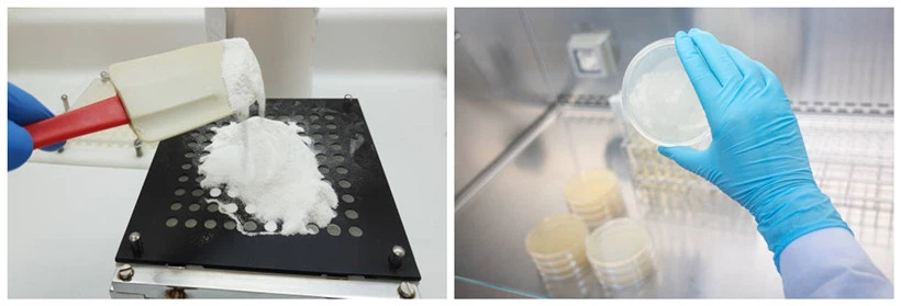 Milk Thistle Seed Oil Powder Milk Thistle Seed Oil Powder