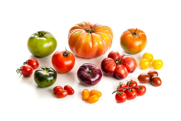 istockphoto-918071884-612x612 istockphoto-918071884-612x612