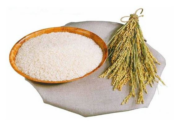 Wat doet Gamma Oryzanol?