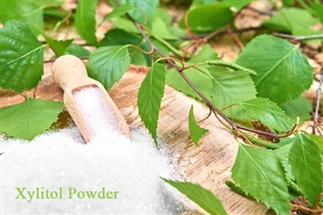 Is Xylitol veilig?